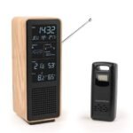 Thomson Bluetooth Speaker - Black - Model : WS102TBK